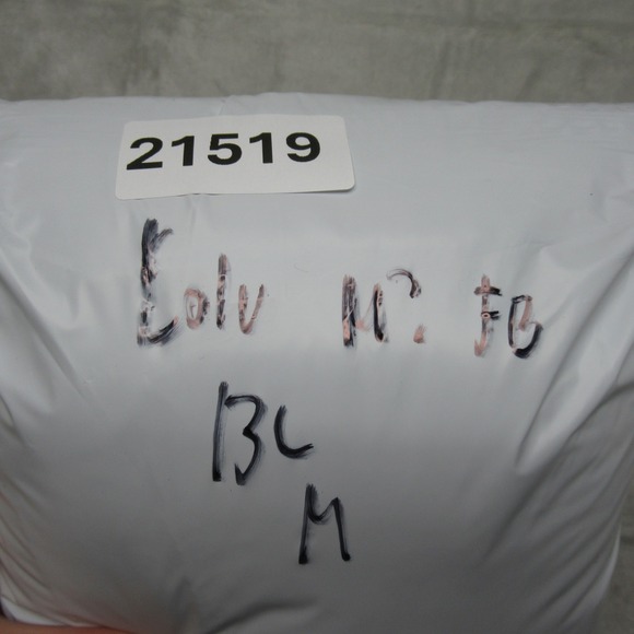 Columbia Jacket Womens XL Blue Omni Heat Powder Pillow Hybrid Insulated Puffer - Picture 16 of 16